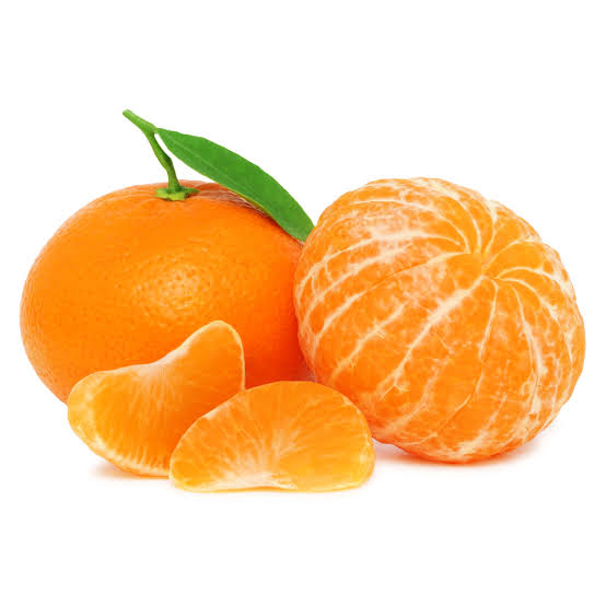 Clementine Tangor Orange Plant|Buy Clementine Tangor Orange Plant - Premium Fruit Plants & Tree from Plantparadise - Just $950! Shop now at Plantparadise