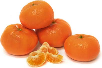 Honey Murcott Tangerine Plant|Buy Honey Murcott Tangerine Plant Online - Premium Fruit Plants & Tree from Plantparadise - Just $899! Shop now at Plantparadise