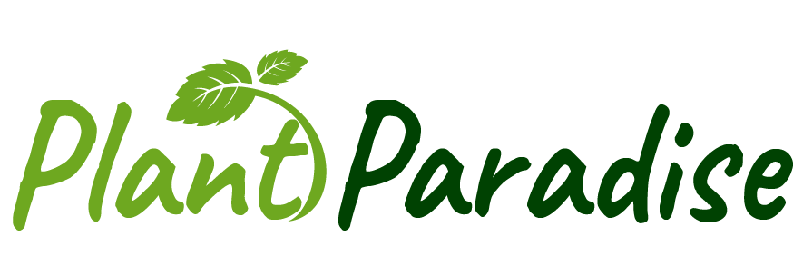 Plantparadise