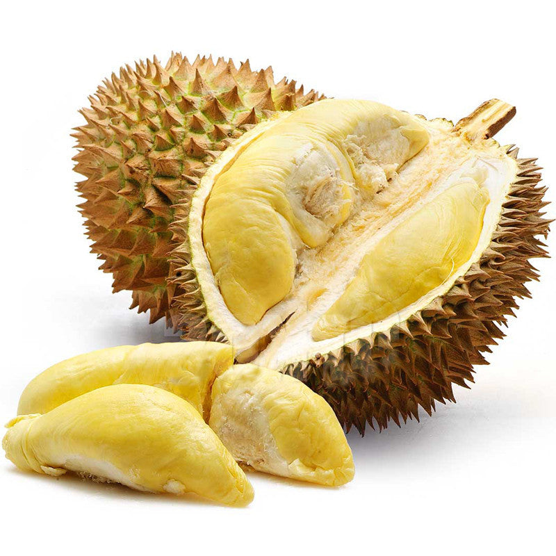Durian Fruit - Fruit Plants & Tree - Premium Fruit Plants & Tree from Plantparadise - Just $1090! Shop now at Plantparadise