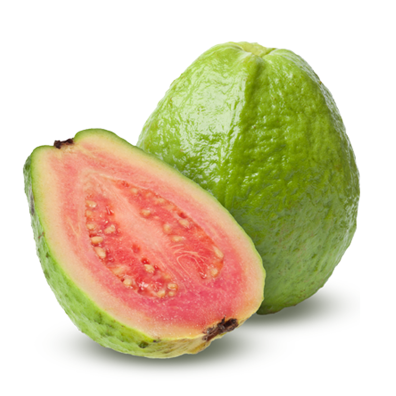 Guava Thai Red Flesh - Fruit Plants & Tree - Premium Fruit Plants & Tree from Plantparadise - Just $375.00! Shop now at Plantparadise
