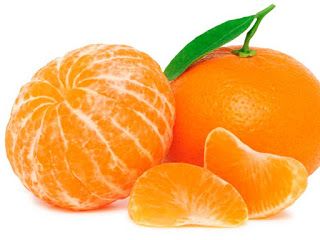 Orange Nagpur(Grafted) - Fruit Plants & Tree - Premium Fruit Plants & Tree from Plantparadise - Just $580! Shop now at Plantparadise
