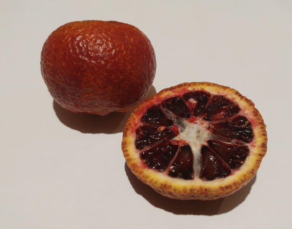 Amoa 8 Blood Mandarin|Amoa 8 Blood Mandarin Plant for Sale - Premium Fruit Plants & Tree from Plantparadise - Just $799! Shop now at Plantparadise