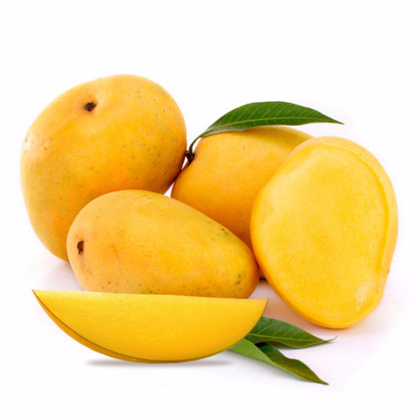 Mango Kesar (Grafted)- Fruit Plants & Tree - Premium Fruit Plants & Tree from Plantparadise - Just $450.00! Shop now at Plantparadise