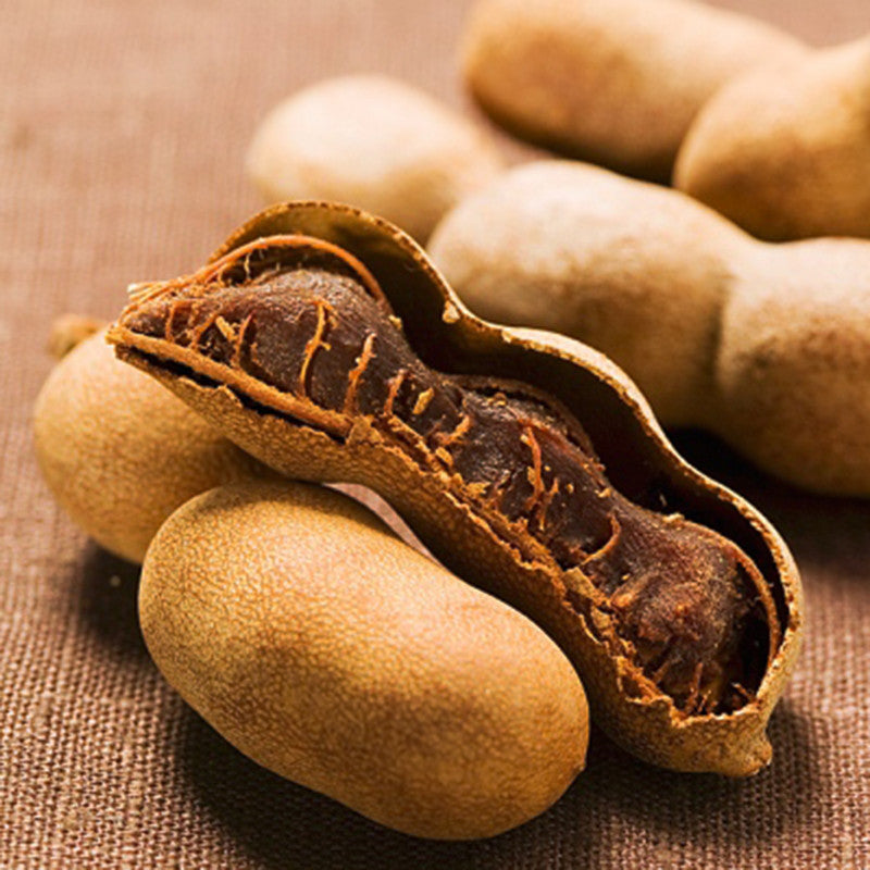 Sweet Tamarind (Grafted) - Fruit Plants & Tree - Premium Fruit Plants & Tree from Plantparadise - Just $600.00! Shop now at Plantparadise