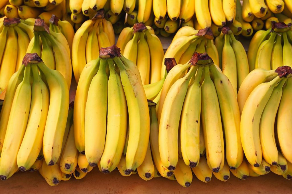 Banana TC Green - Fruit Plants & Tree - Premium Fruit Plants & Tree from Plantparadise - Just $340.00! Shop now at Plantparadise